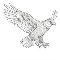 Black and white drawing of an eagle with outstretched wings.