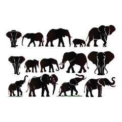 Elephant vector set with a white background
