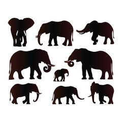 Elephant vector set with a white background