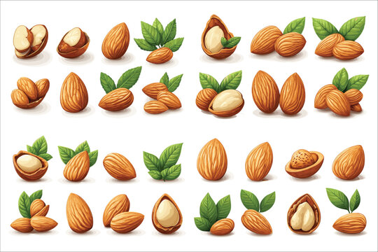 Set of colorful abstract almond elements, Fresh almond natural foods icons vector, Set of organic almond vector, Abstract almond icon set, Healthy and fresh almonds vector illustrations