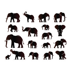 Elephant vector set with a white background