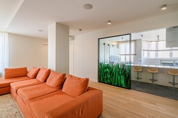 standard interior apartment. living room with sofa