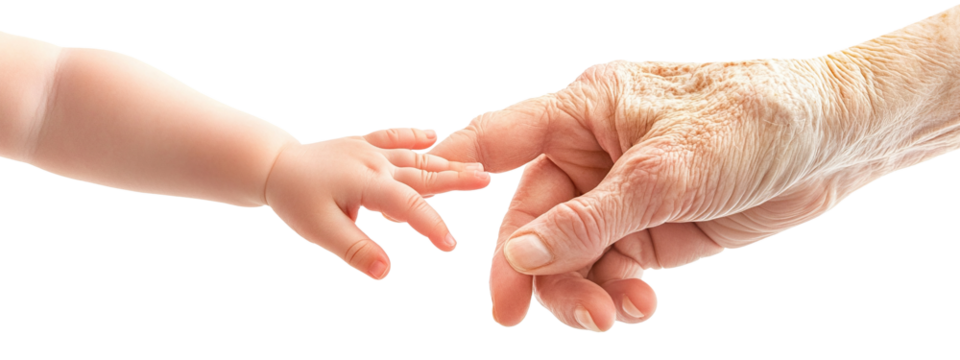 Baby hand touching elderly hand, symbolizing connection, isolated on transparent cutout background