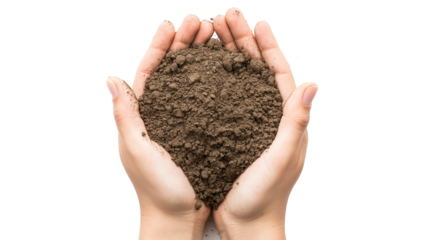 Top view of soil in hands for check the quality of the soil for control soil quality before seed plan isolated on a white background