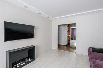 standard interior apartment. living room with sofa