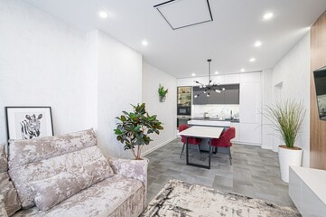 standard interior apartment. living room with sofa
