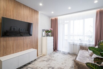 standard interior apartment. living room with sofa