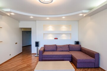 standard interior apartment. living room with sofa