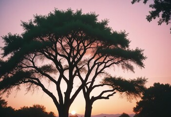 A Masterful Portrait in Soft Pink and Dramatic Shadows