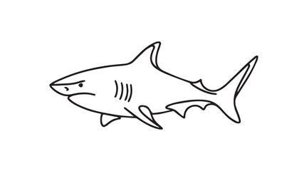 shark isolated on white background