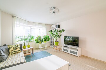 standard interior apartment. living room with sofa