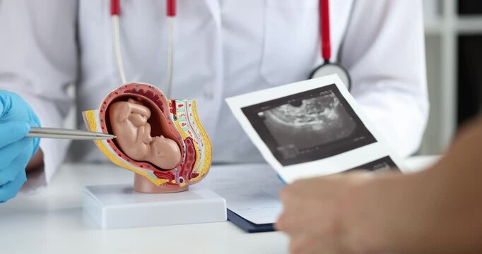 A medical expert discusses fetal development with a detailed model and advanced ultrasound technology