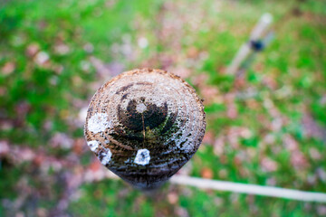 Weathered Fence Post: A Macro Glimpse of Concentric Wood Rings and Rustic Charm