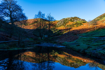 Fototapeta premium Golden Hour Reflection in Carding Mill Valley: Serene Hills, Trees, and Rippling Pond in Shropshire's Natural Landscape