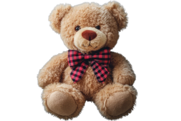 toy teddy isolated on white background	