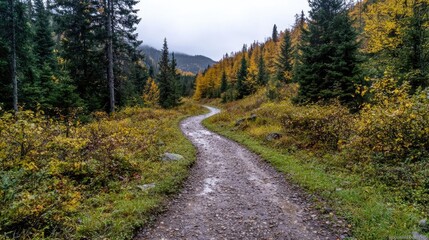 Fototapeta premium Winding autumn trail through mountain forest