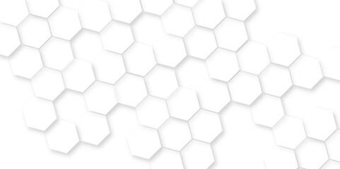 Naklejka premium Minimal white hexagonal hexagon modern technology,Abstract white and grey color hexagonal geometric background with copy space,Surface polygon pattern with glowing hexagon paper texture and futuristic