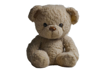 Obraz premium toy teddy isolated on white background 
