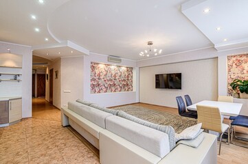 standard interior apartment. living room with sofa