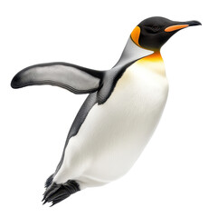A penguin in a dynamic swimming pose.