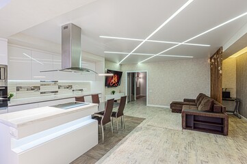 standard interior apartment. living room with sofa