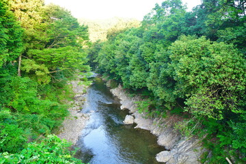 夏の犬上川（滋賀県）