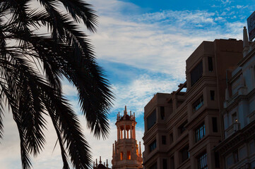 Sunlight casting golden glow on historic building, palm tree silhouette framing urban landscape in...