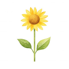 A vibrant sunflower with bright yellow petals and green leaves, symbolizing summer beauty., isolated on a transparent background.