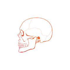 Skull head icon