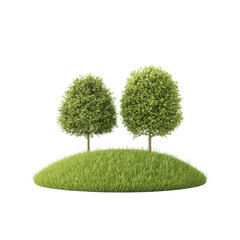 Two lush green trees standing on a small grassy hill., isolated on a transparent background.