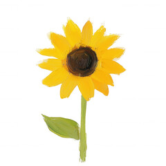 Vibrant sunflower with yellow petals and a dark center, symbolizing warmth and positivity., isolated on a transparent background.