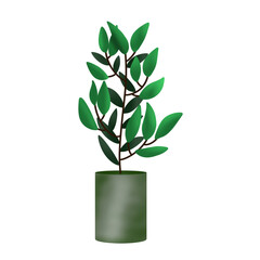 plant a pot