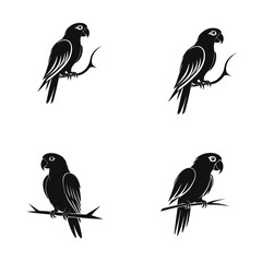 Fototapeta premium Parrot bird vector icon set