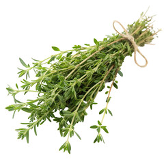 bunch of thyme isolated
