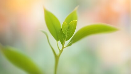 Fototapeta premium Close-up of a delicate young plant with vibrant green leaves against a soft, blurred pastel background.