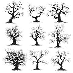 Obraz premium set of dead trees silhouettes on white