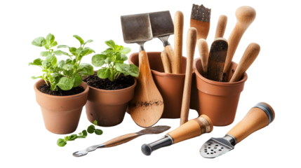 Garden tools with seedling on a transparent background. isolated background.