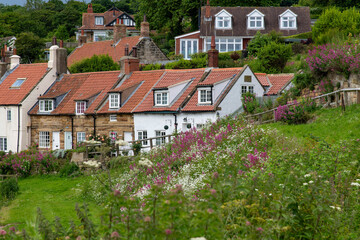 Low angle view of rows of traditional colorful cotages in Whitby, UK with in forefront green pasture and wildflowers with selected focus