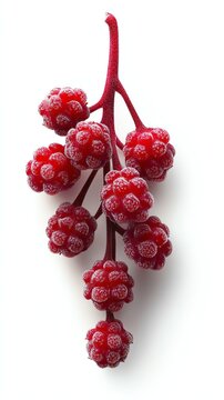 A loganberry cluster with realistic texture, photorealistic, deep red, isolated on white background