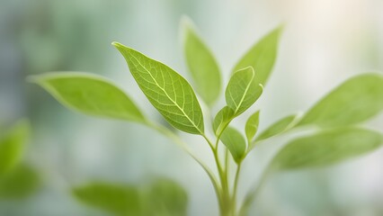 Close-up of vibrant green plant sprouts against a soft, blurred background.