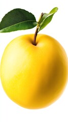 A quince with its slightly fuzzy surface, photorealistic, pale yellow, isolated on white background