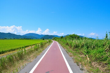 西の湖サイクリングロード（滋賀県）
