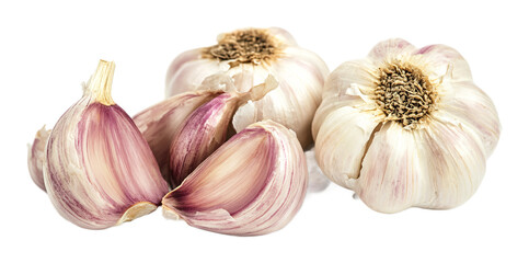 Garlic on a white background. isolated background.