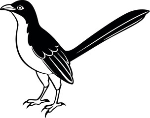 Black silhouette of cuckoo vector, line art cuckoo vector