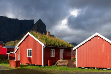 Close up of typical red (fisherman) cabin (rorbu) with sod roof in Reine, Norway on Lofoten island...