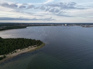 Landschaft Sommer Pferd Pilze