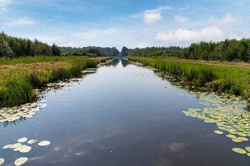 View over the Prinsewyk canal with reeds beds and blue sky in Heerenveen, province of Friesland, the Netherlands in the nature park with forests of Oranjewoud