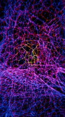 Abstract Digital Brain Wireframe Network Mesh in Red and Blue Gradient