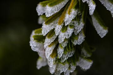 givre
