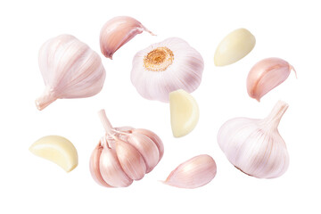 set of garlic bulb and clove isolated on white background.	
